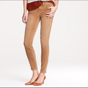 J. Crew Reid Corduroy Pant